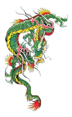 Chinese Green Dragon Pic Tattoo